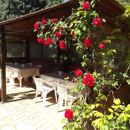 B&B Villa Lena Turi Exteriér fotografie