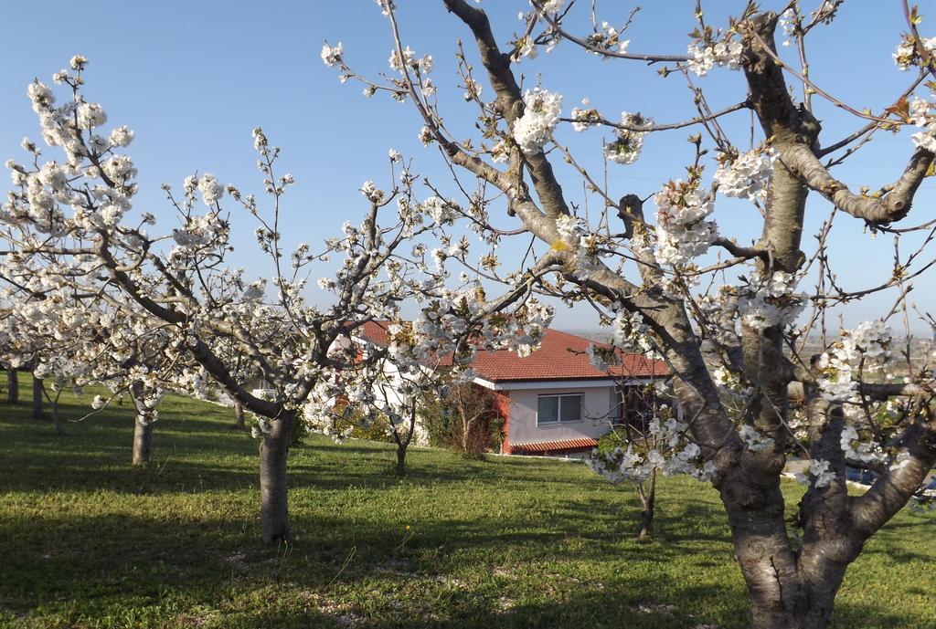 B&B Villa Lena Turi Exteriér fotografie