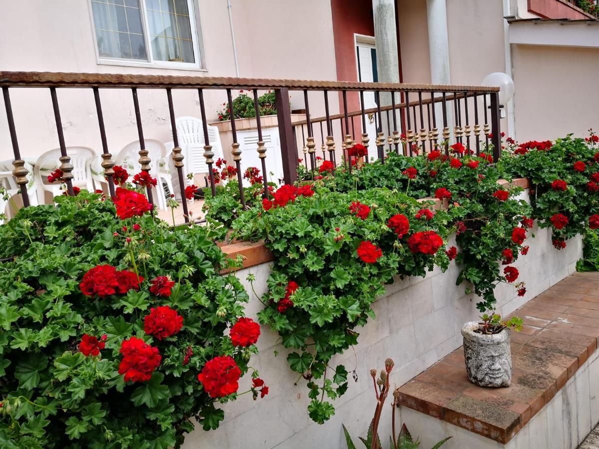 B&B Villa Lena Turi Exteriér fotografie
