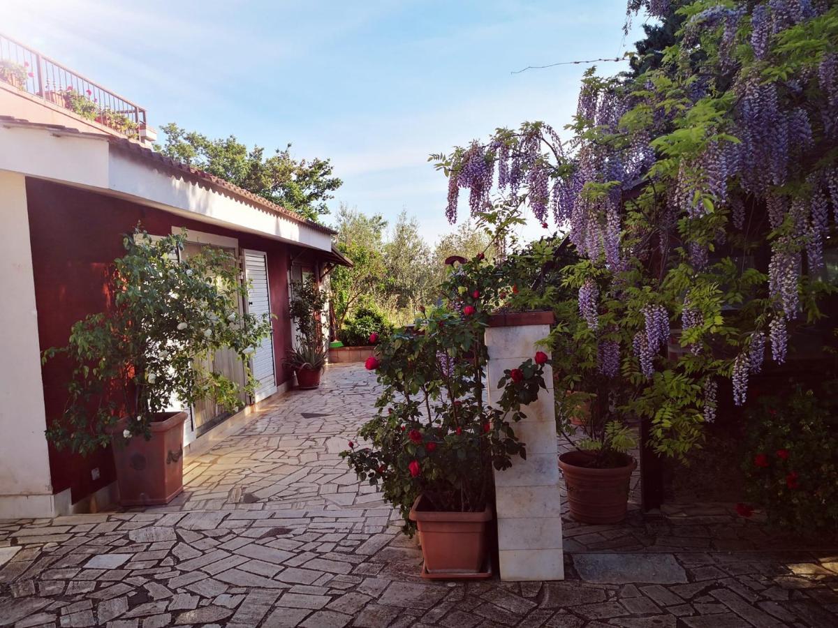 B&B Villa Lena Turi Exteriér fotografie