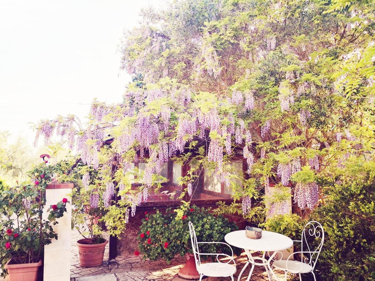 B&B Villa Lena Turi Exteriér fotografie
