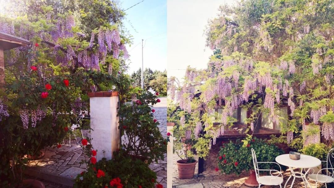 B&B Villa Lena Turi Exteriér fotografie