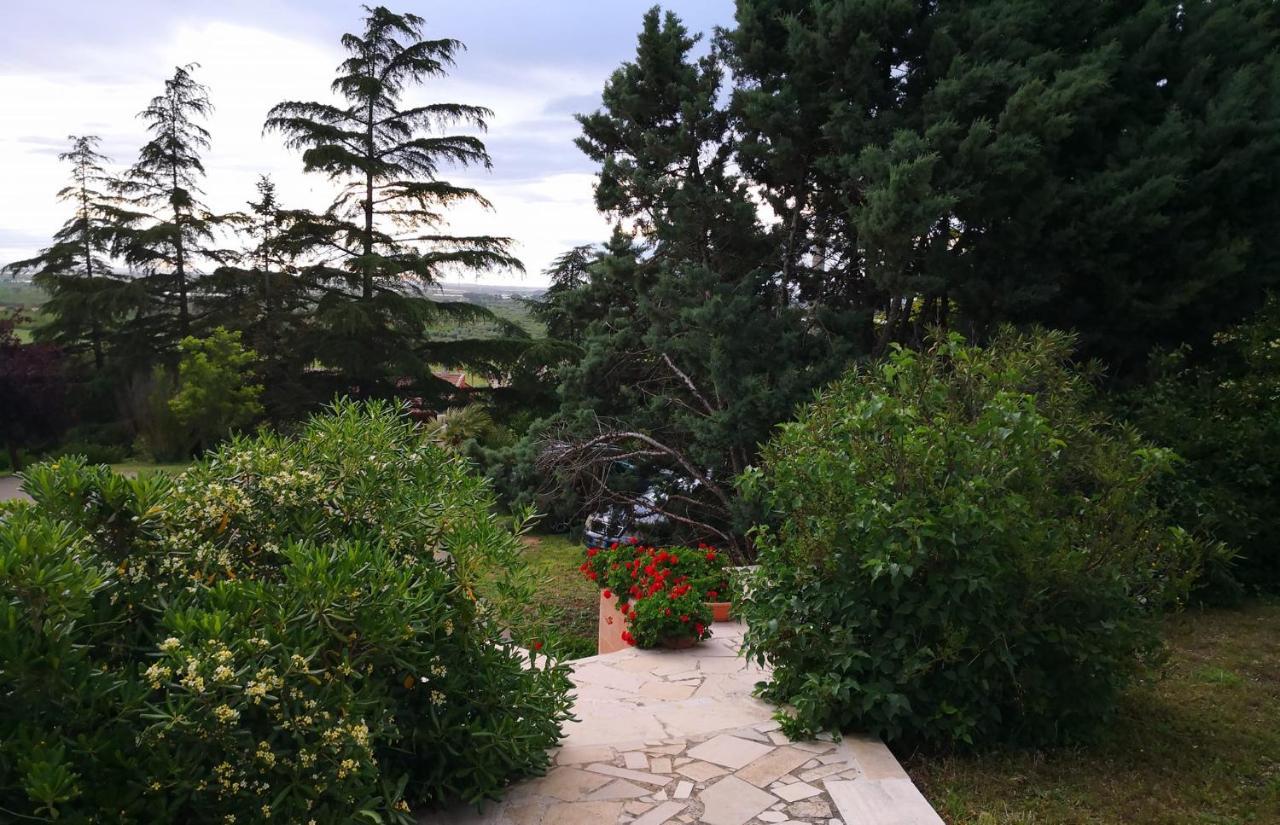 B&B Villa Lena Turi Exteriér fotografie
