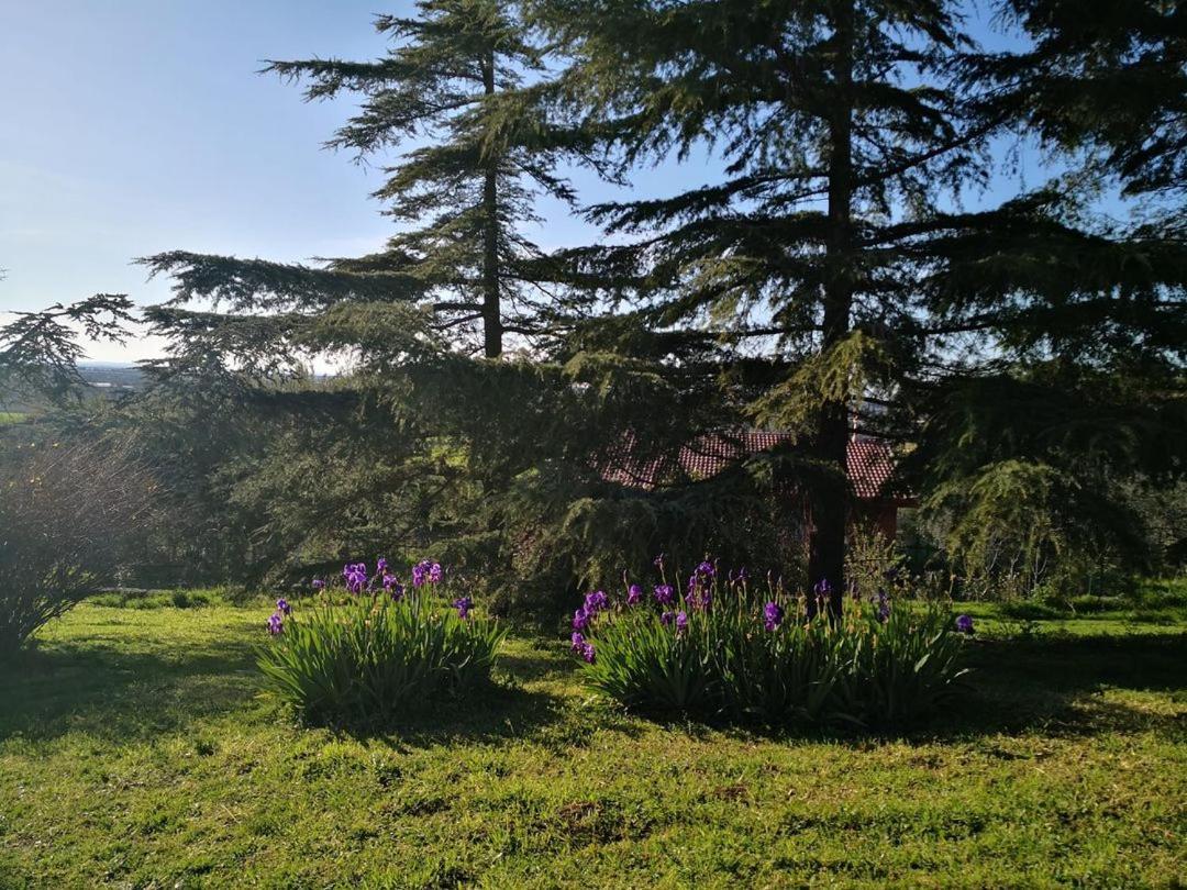 B&B Villa Lena Turi Exteriér fotografie