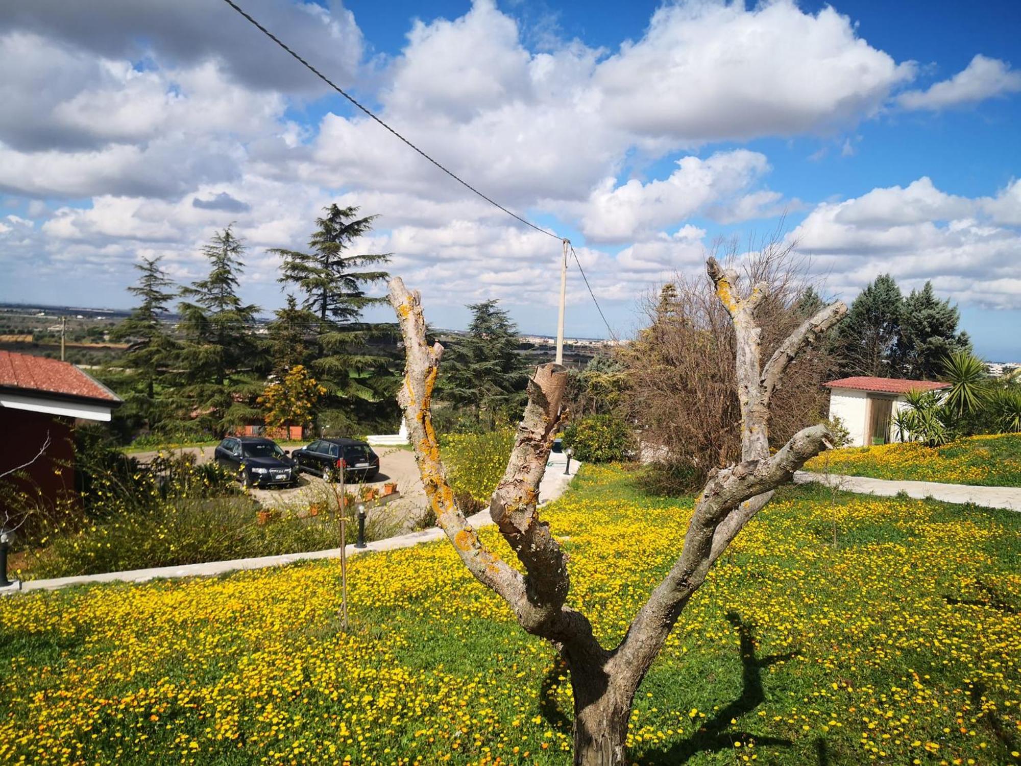 B&B Villa Lena Turi Exteriér fotografie