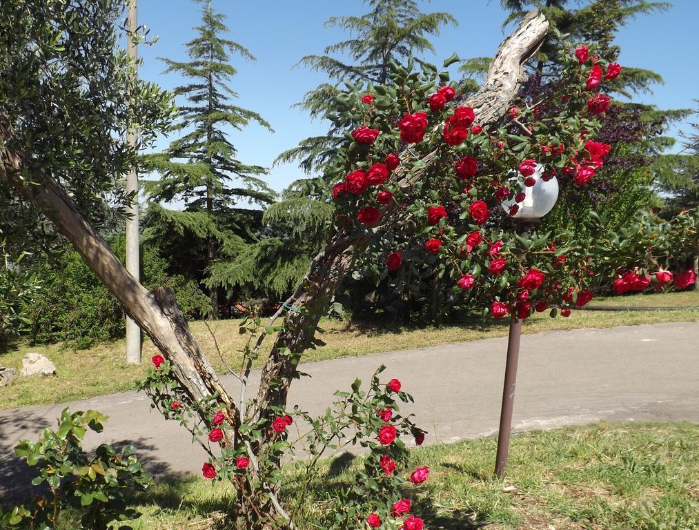 B&B Villa Lena Turi Exteriér fotografie