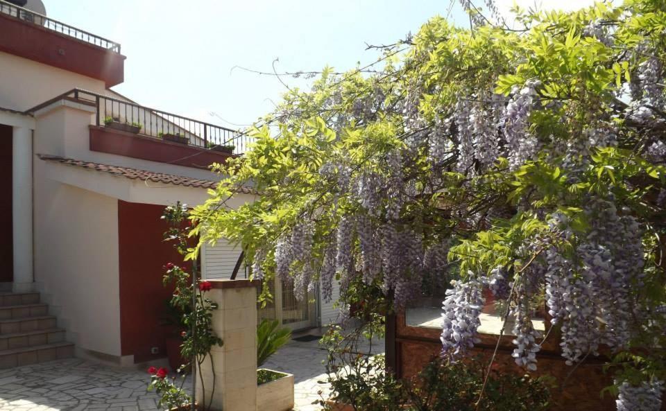 B&B Villa Lena Turi Exteriér fotografie